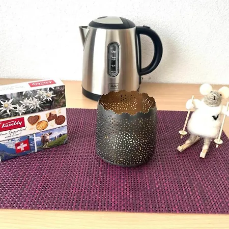 Haus Sonnmatt * 체르마트